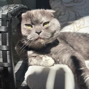 Meet your Posher, Svetlana